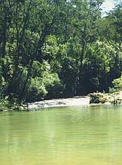 Belmore River