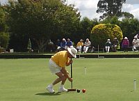 Croquet Carnival
